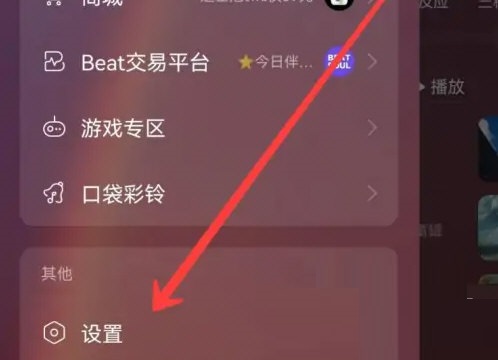 网易云音乐如何开启流量播放