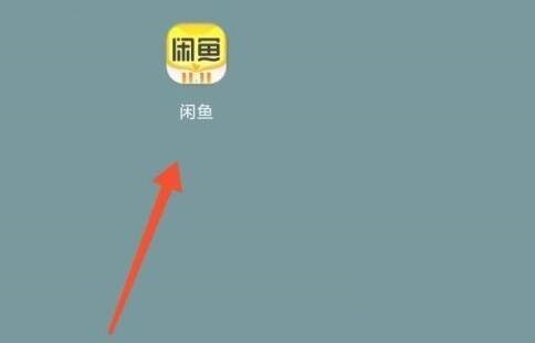 闲鱼如何查看闲鱼公约信息