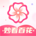 妙看百花官方版