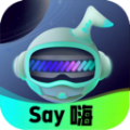 Say嗨元宇宙免费版